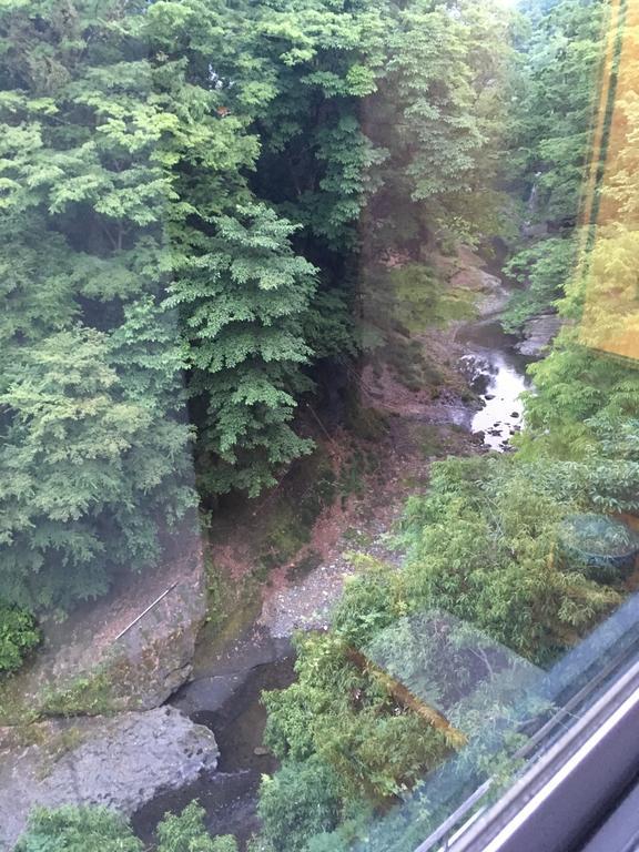 Hotel Miyama Chichibu Zewnętrze zdjęcie